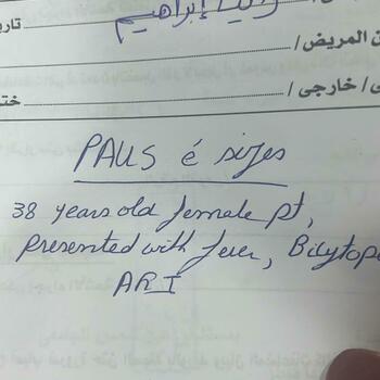 Bassant Abdallah Kayed