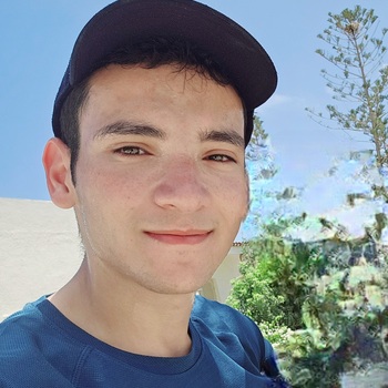 Anwar Hatem El Masry