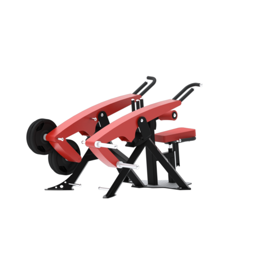 Dips Triceps by Delavier – BXT53