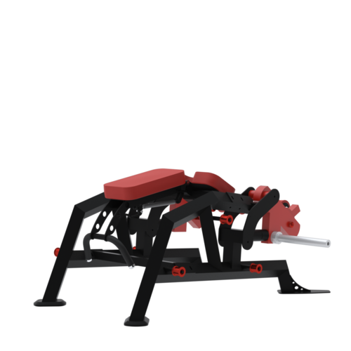 Leg Curl Allongé Ischios by Delavier – BXT33