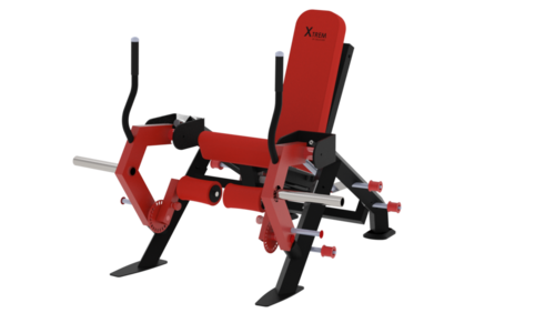 Leg Extension Quadriceps by Delavier – BXT14