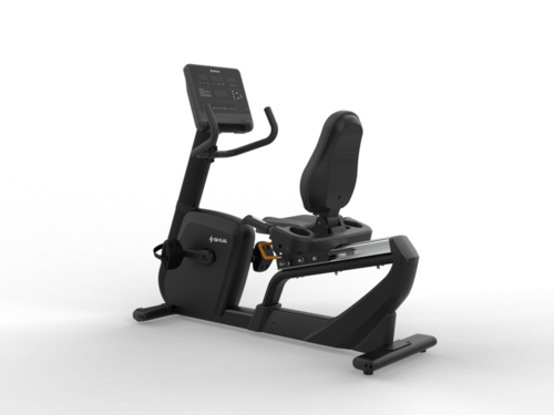 B9100R Commercial Recumbent Bike