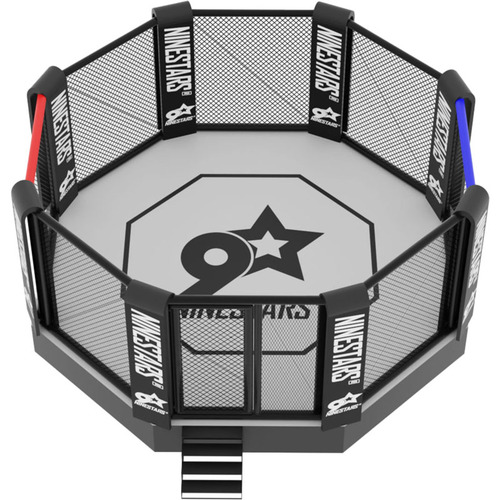 Cage de MMA Renforcée avec Petite Plateforme - 100% Personnalisable | NineStars®