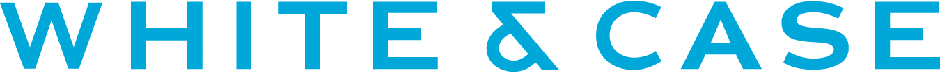 WHITE & CASE LLP