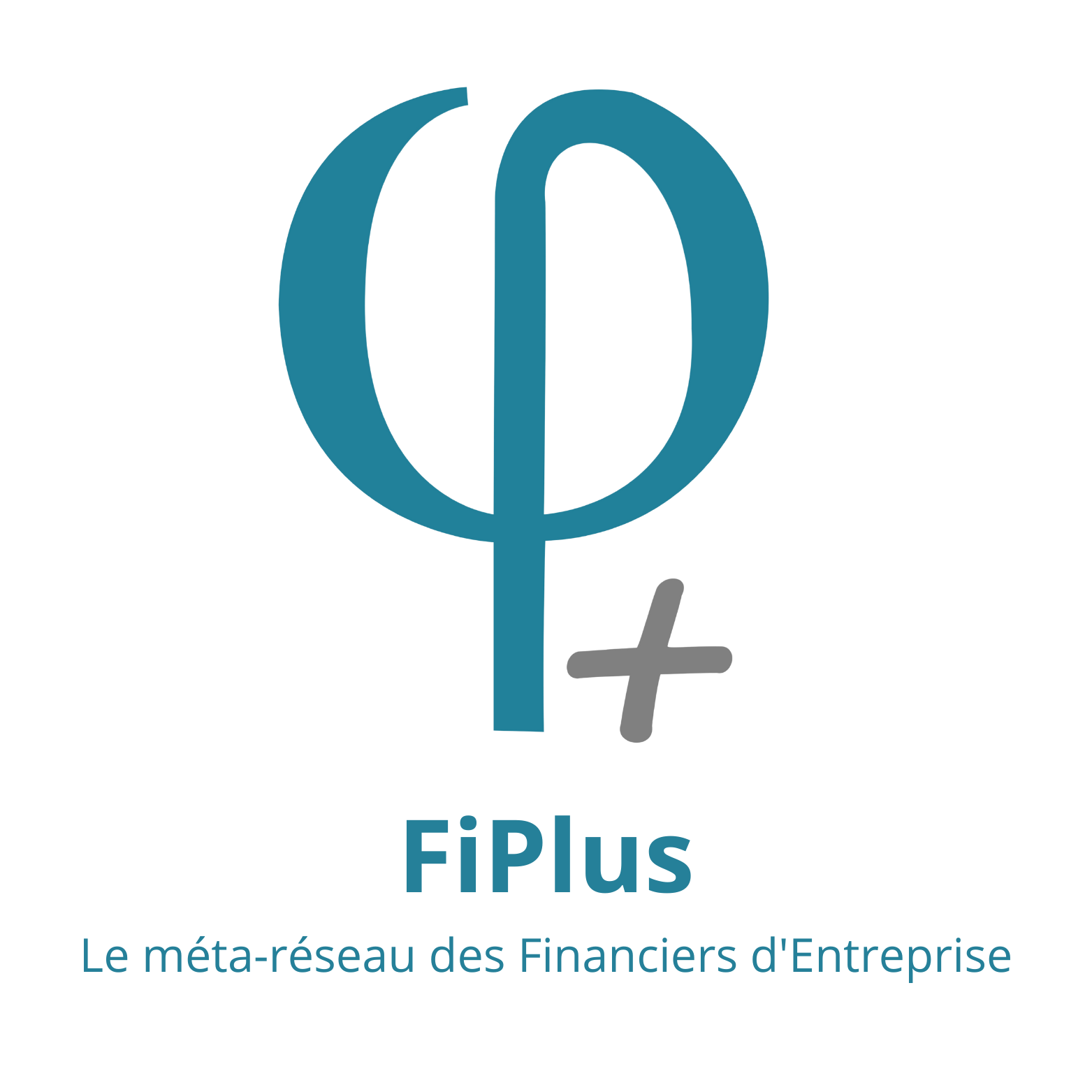 FIPLUS