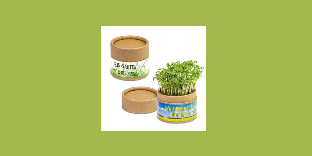 THE VEGETABLE BOX IN KRAFT PAPER BY HERI EMOTION FACTORY