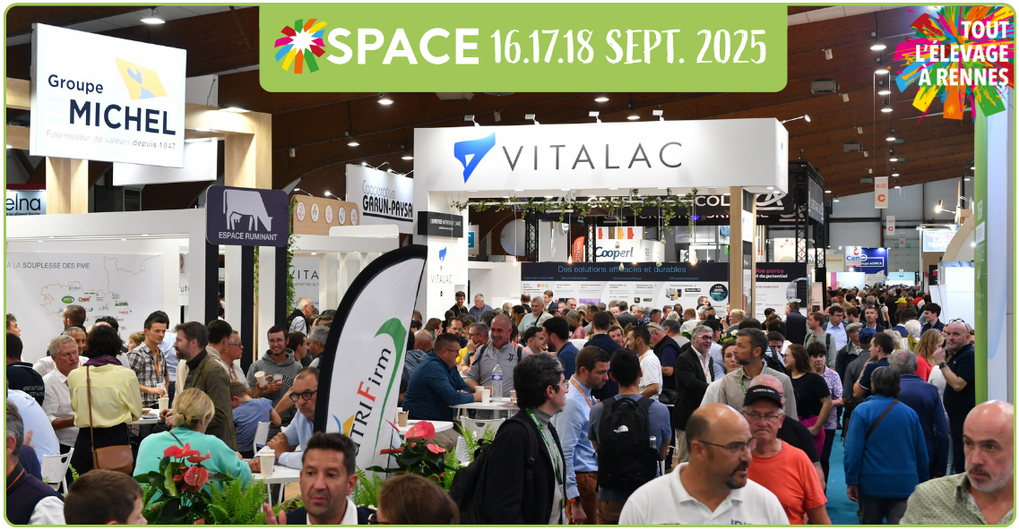SPACE 2025: records on the agenda