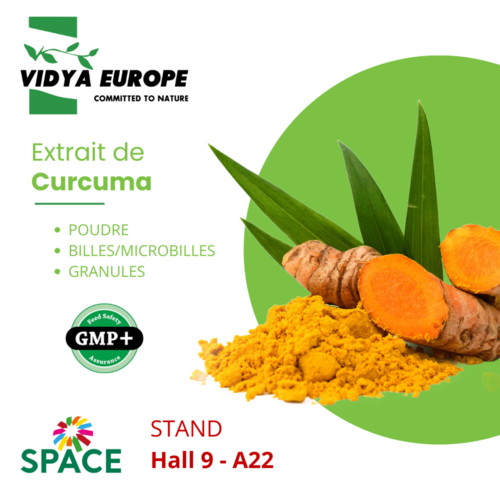 Extrait de Curcuma