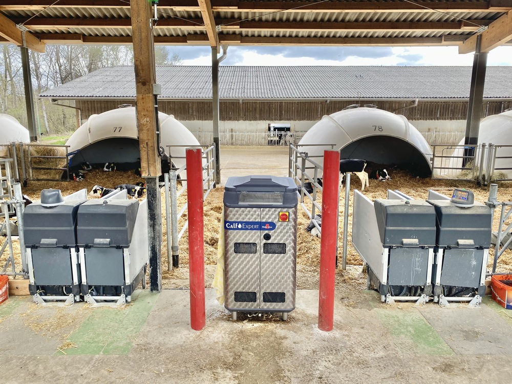 CalfExpert - D.A.L. Veaux