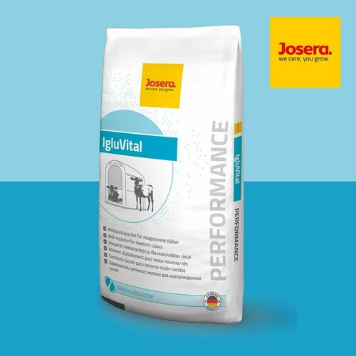 IgluVital- Aliment d’allaitement pour veaux
