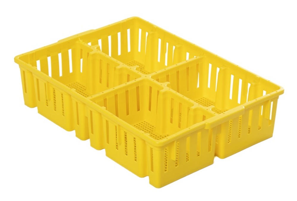 Caisses transport Poussins et Dindonneau d'un jour