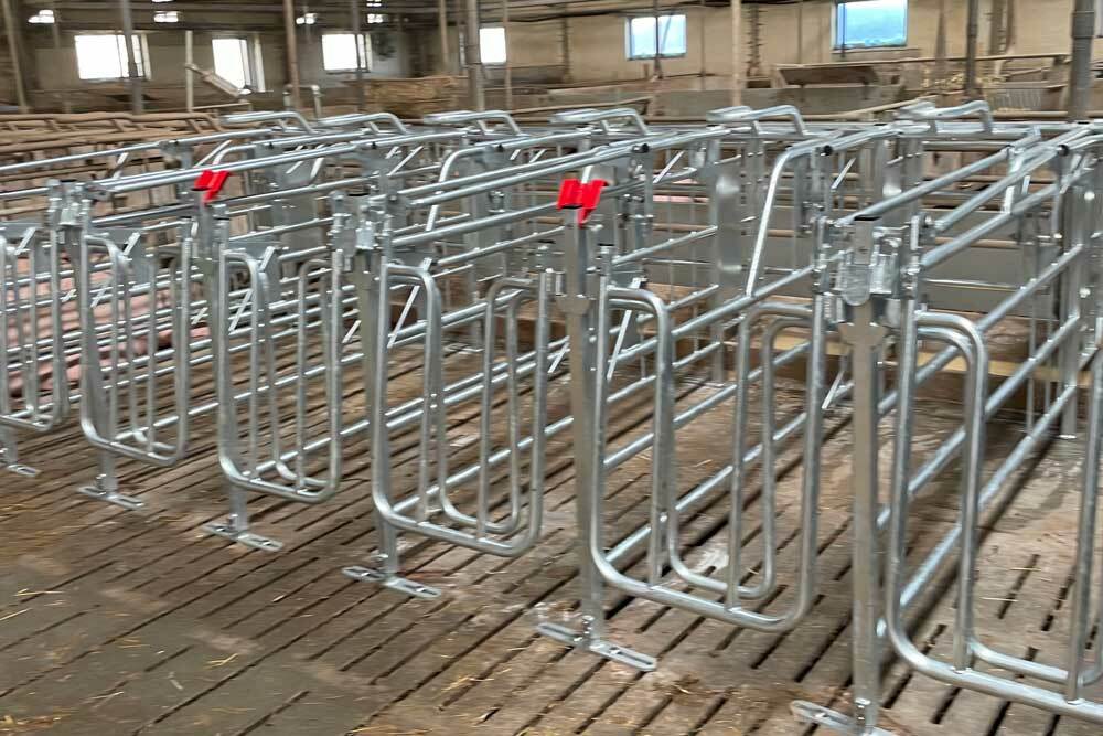 MAG BOX, CAGE DE GESTATION AUTOBLOQUANTE