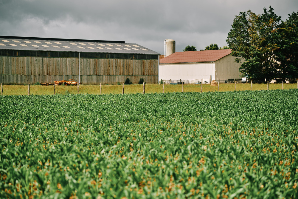Oklima : offre décarbonation du Scope 3 