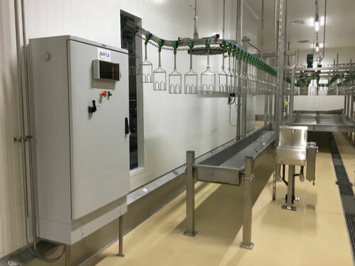 Solutions d’abattage de volailles