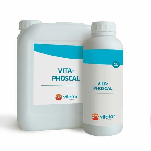 VITA-PHOSCAL