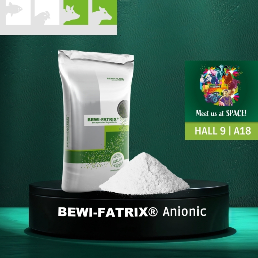 BEWI-FATRIX Anionic