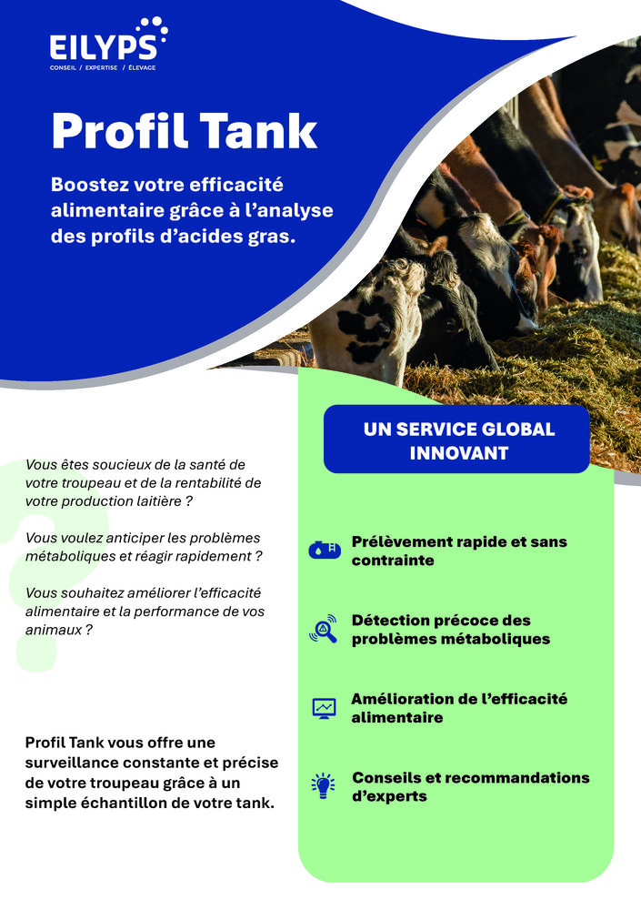 Profil Tank