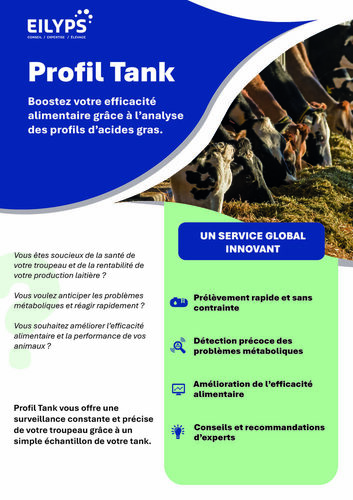 Profil Tank