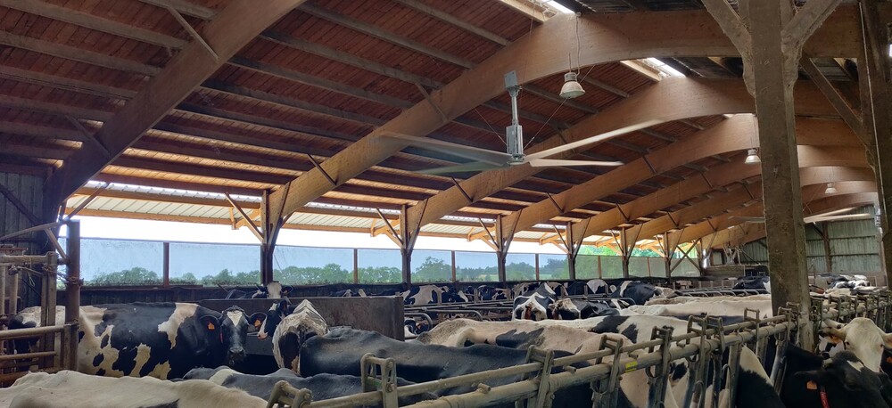 Diagnostic Ambiance Bâtiment