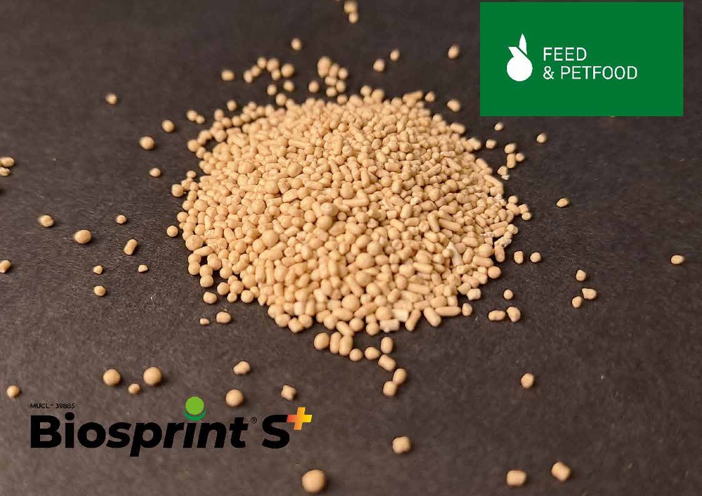 BIOSPRINT S+ - Levure vivante et thermo-résistante