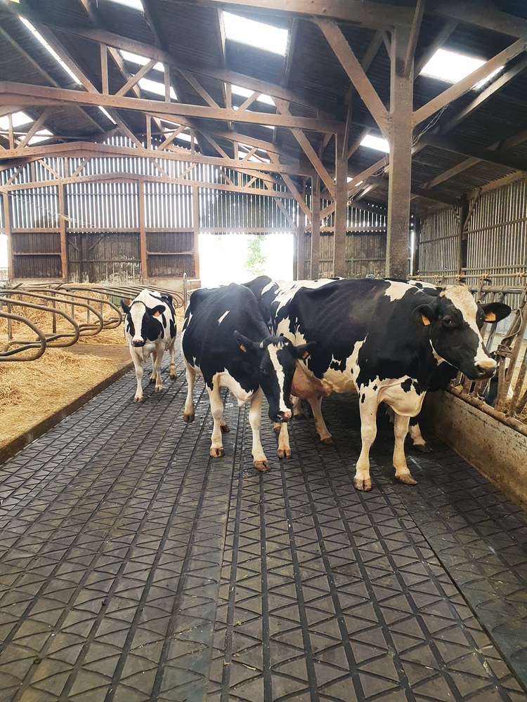 Zig Zag - Revêtement antidérapant