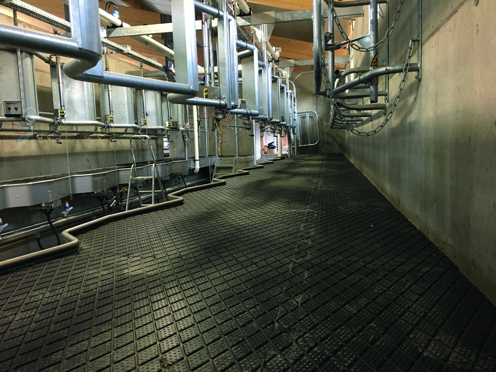 Clip Super - Dalle antidérapante pour salle de traite