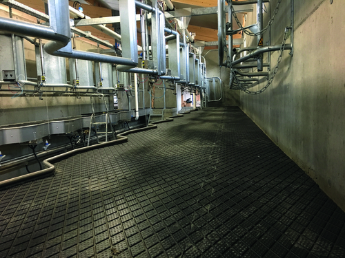 Clip Super - Dalle antidérapante pour salle de traite