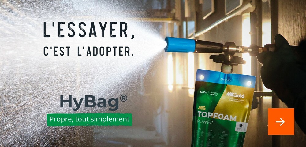 HyBag® : le nettoyage sans effort, l'efficacité en plus.