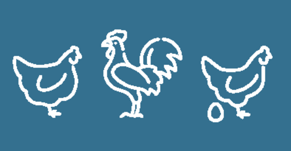 Services techniques aviaires Chêne Vert : le conseil technique indépendant pour votre élevage