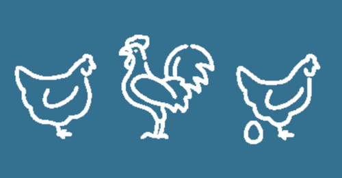 Services techniques aviaires Chêne Vert : le conseil technique indépendant pour votre élevage