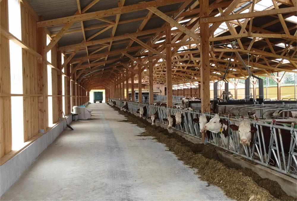 Bâtiments d'élevage