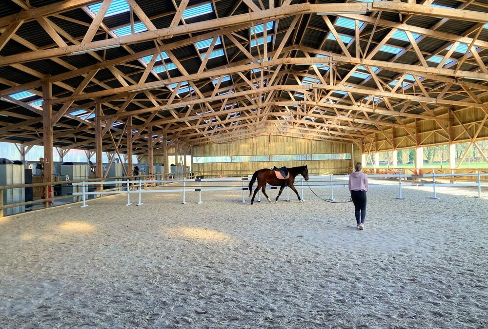 Bâtiments équestres