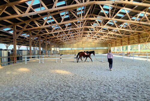 Bâtiments équestres