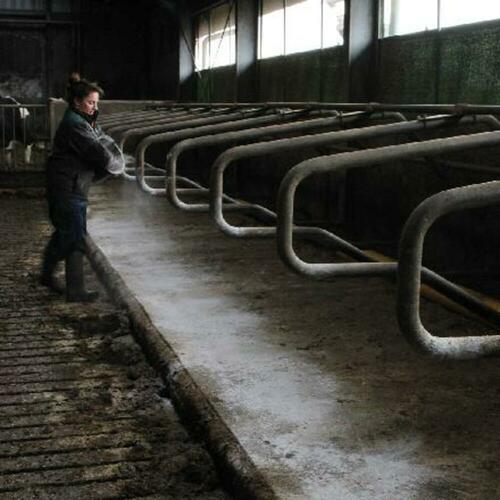 MS DryCare: offer your animals a healthy and serene environment