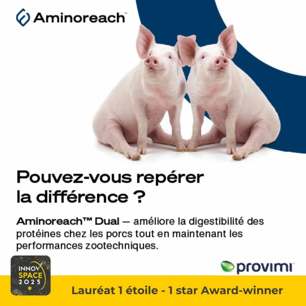 Aminoreach® Dual