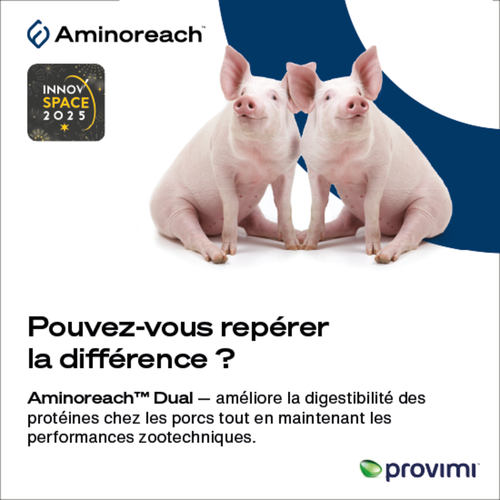 Aminoreach™ Dual : Solution nutritionnelle innovante pour réduire les coûts alimentaires et améliorer la durabilité grâce à une meilleure digestibilité des protéines et acides aminés 