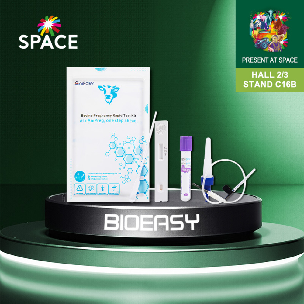 New rapid bovine pregnancy test kit