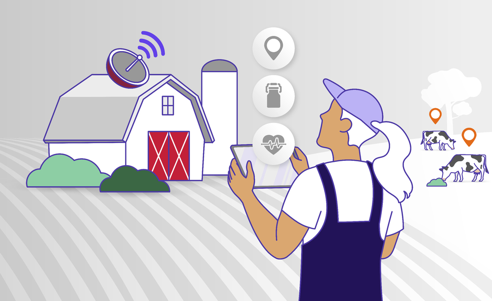 Conseils et Développements numériques sur mesure : appli mobile, extranet, outils de gestions de filières,  e-commerces....