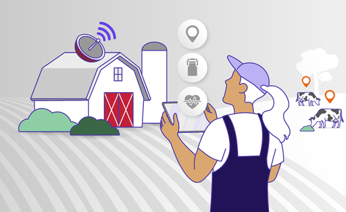 Conseils et Développements numériques sur mesure : appli mobile, extranet, outils de gestions de filières, e-commerces....