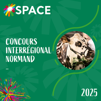 2025-VIDEO-Présentation de la race Normande