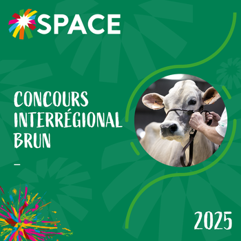 2025-VIDEO-Concours Interrégional Brun