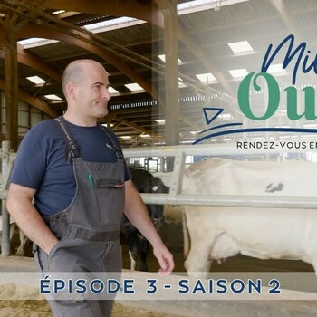 Épisode 3 / S2 - Milky Ouest - Rendez-vous en terres de lait