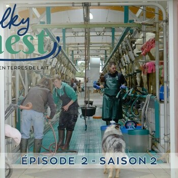 Épisode 2 / S2 - Milky Ouest - Rendez-vous en terres de lait