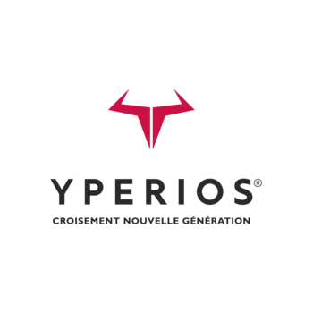 YPERIOS