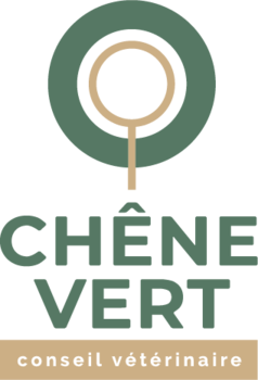 CHENE VERT