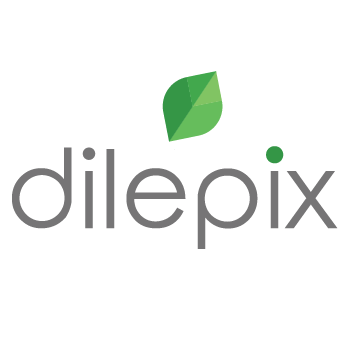 DILEPIX