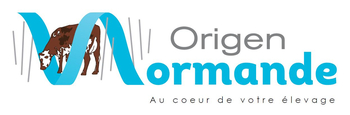ORIGEN NORMANDE