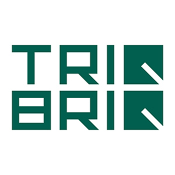 TRIQBRIQ AG