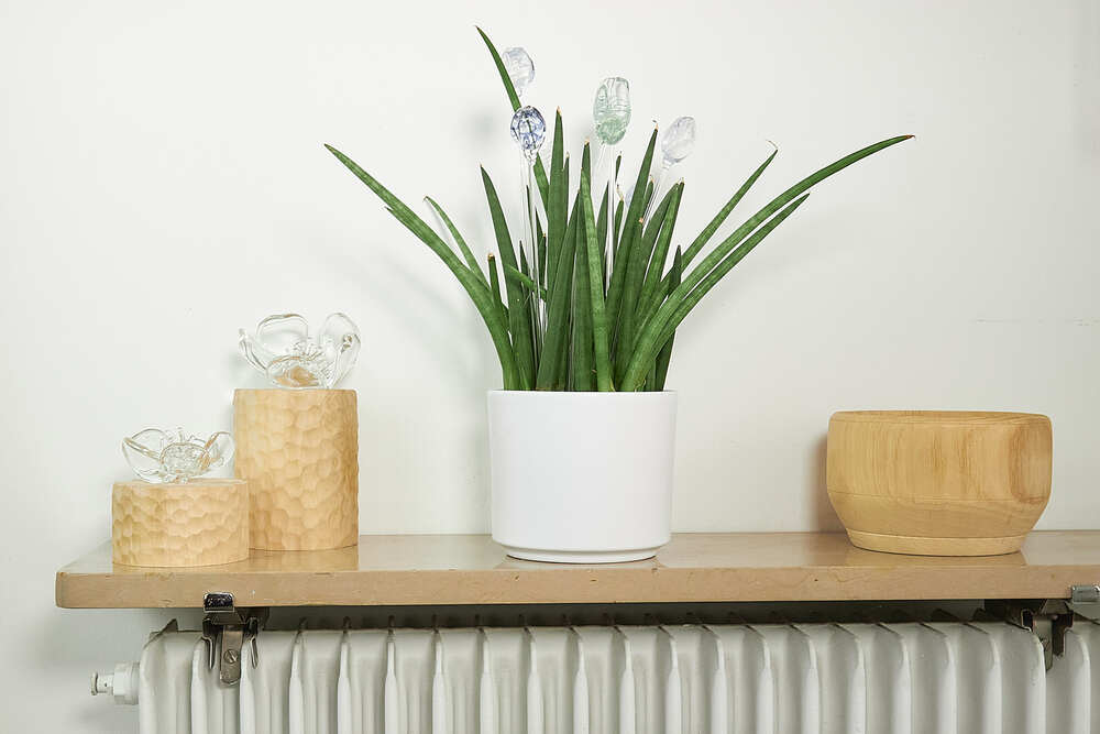 Fleurs à poser / Tulipes / Objets du quotidien