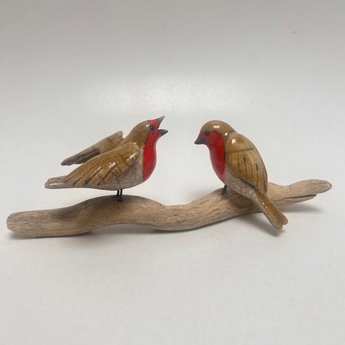 Couple de rouges-gorges